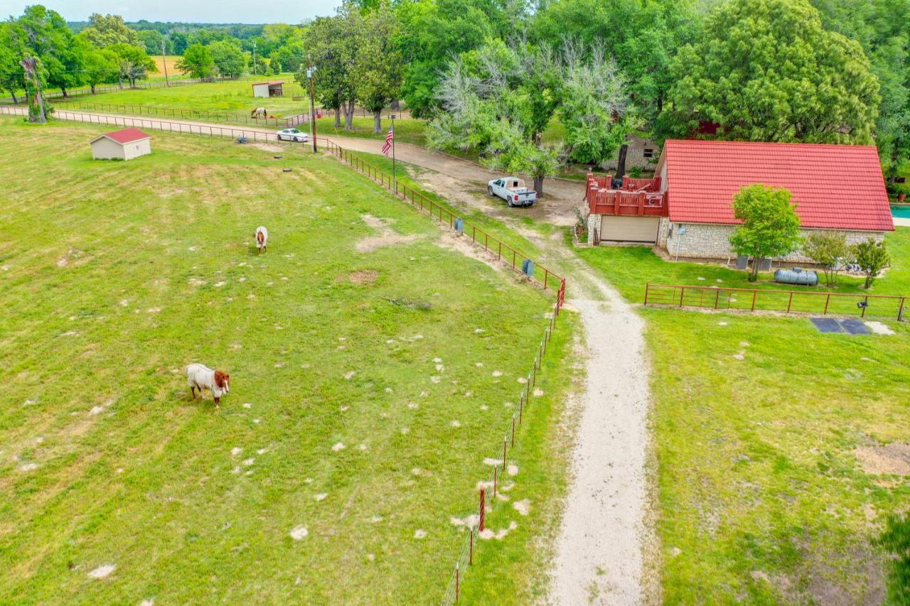 Dog-Friendly Wills Point Home With Grill On 10 Acres Canton Exteriér fotografie